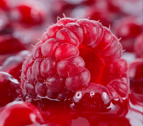 Edible Sun Balm BeautyBoss