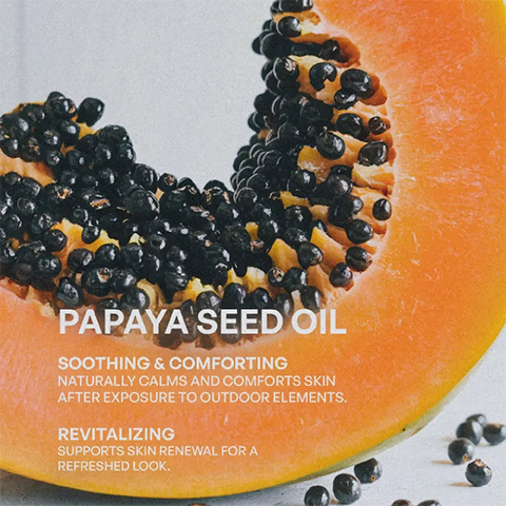 2 Pack Tallow Zinc Sun Stick BeautyBoss