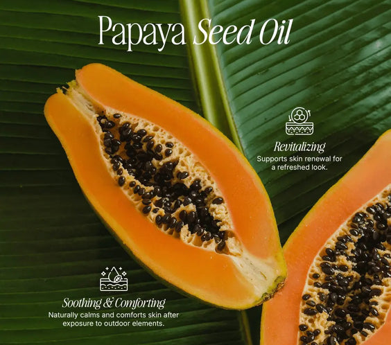 2 Pack Tallow Zinc Sun Stick BeautyBoss