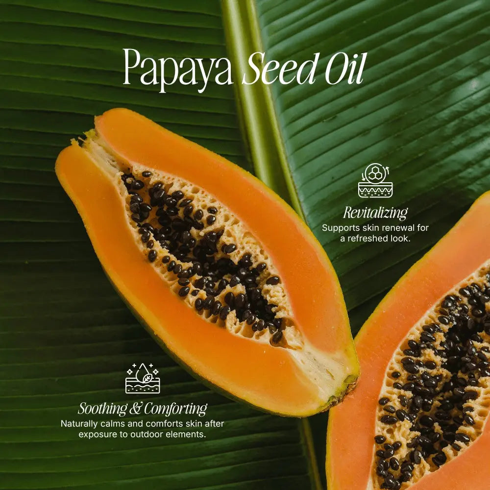 2 Pack Tallow Zinc Sun Stick BeautyBoss