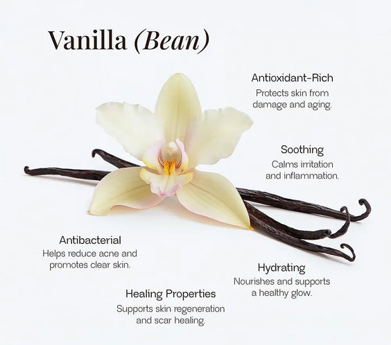 Whipped Grass-Fed Tallow Balm with Vanilla Bean BeautyBoss