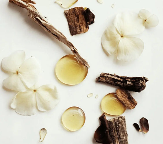 Whipped Grass-Fed Tallow Balm with Vanilla Bean BeautyBoss