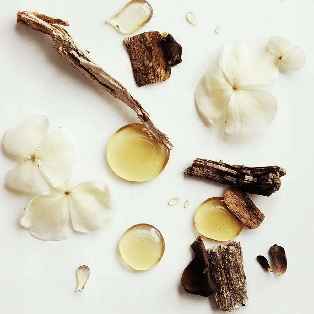 Whipped Grass-Fed Tallow Balm with Vanilla Bean BeautyBoss