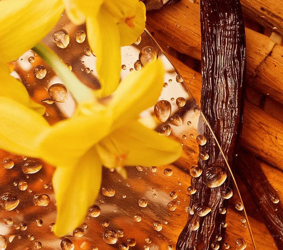 Whipped Grass-Fed Tallow Balm with Vanilla Bean BeautyBoss