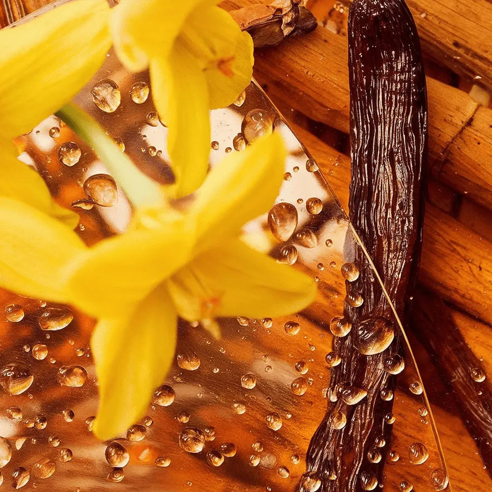 Whipped Grass-Fed Tallow Balm with Vanilla Bean BeautyBoss