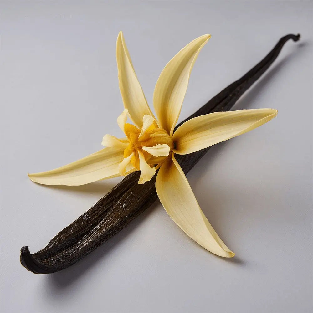 Whipped Grass-Fed Tallow Balm with Vanilla Bean BeautyBoss