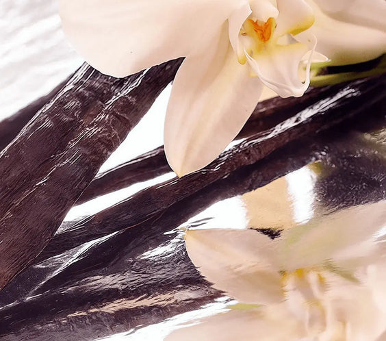 Whipped Grass-Fed Tallow Balm with Vanilla Bean BeautyBoss