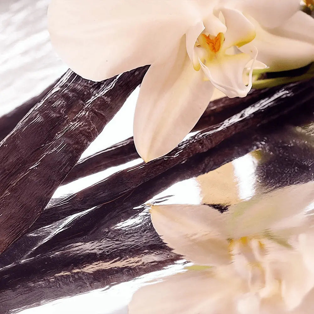 Whipped Grass-Fed Tallow Balm with Vanilla Bean BeautyBoss