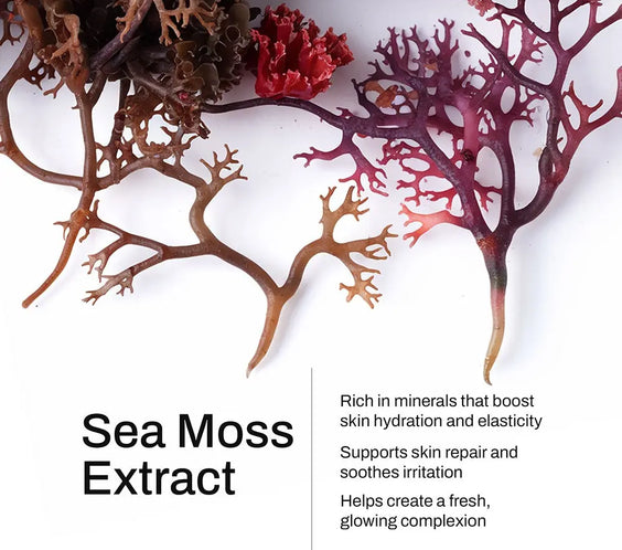 Manuka Honey Sea Moss Post-Shave Oil BeautyBoss